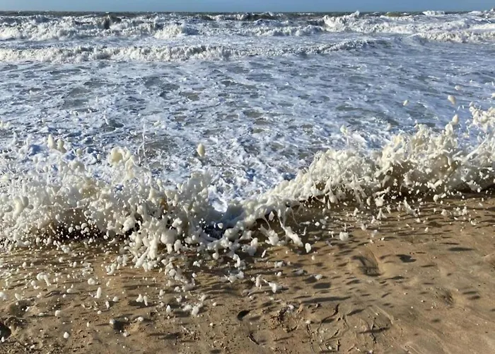 In Belgium With Sea Views * Ostend