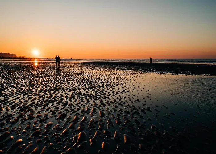 Apartment In Belgium With Sea Views *
