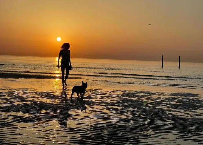 In Belgium With Sea Views Apartment *