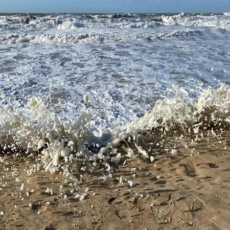 In Belgium With Sea Views * Ostenda